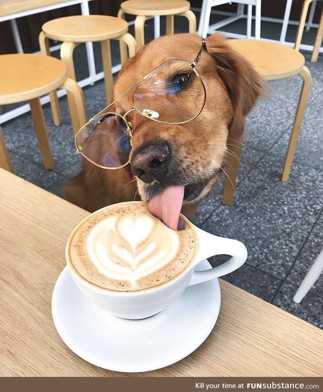 Puppuccino