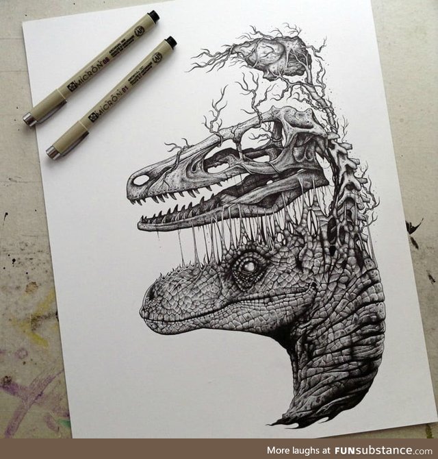 Raptor skull and brain drawing