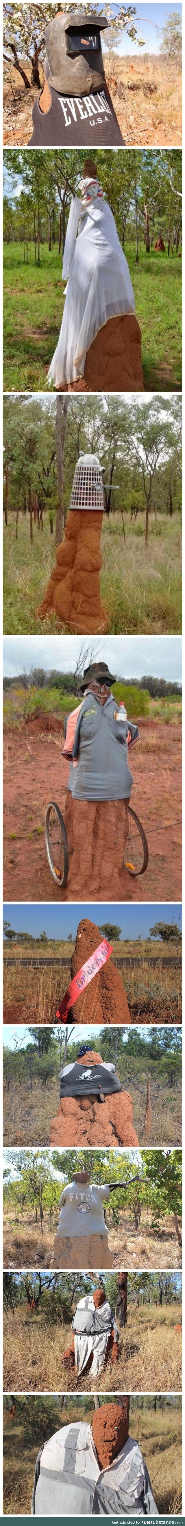 Australians are dressing up termite mounds