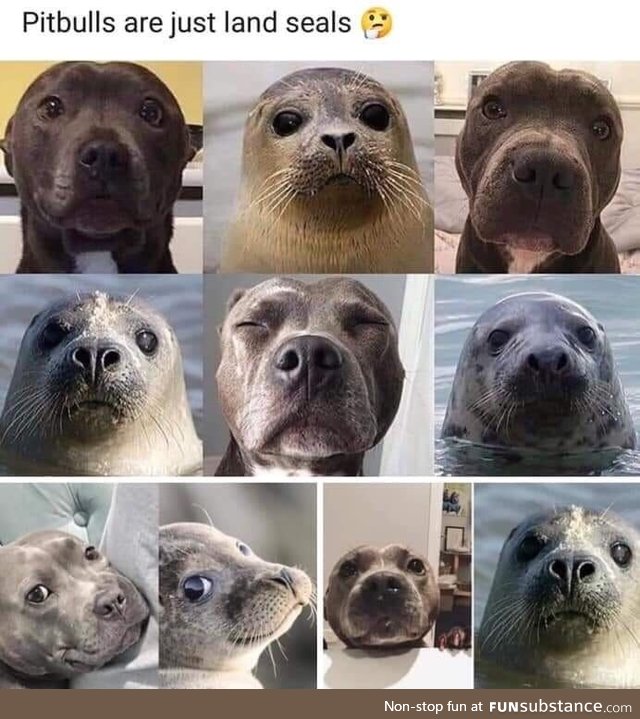 Land seals