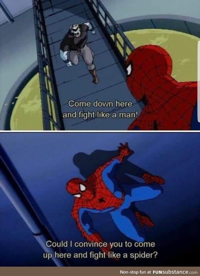 Spider-Man: TAS was something else