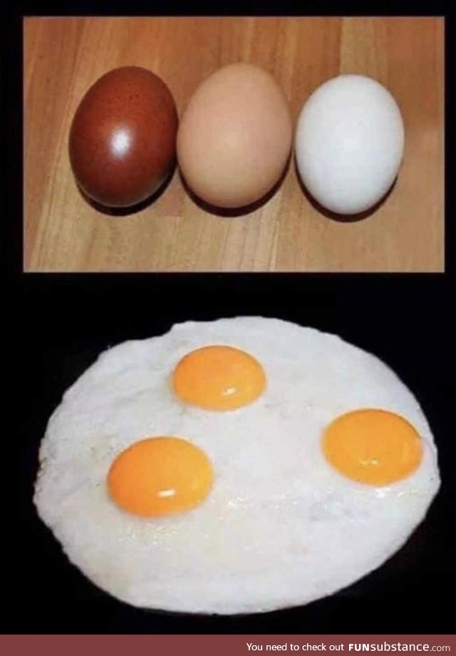 Racism for dummies