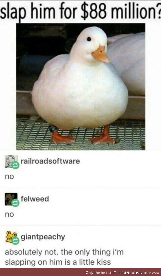 What a chunky water chicken