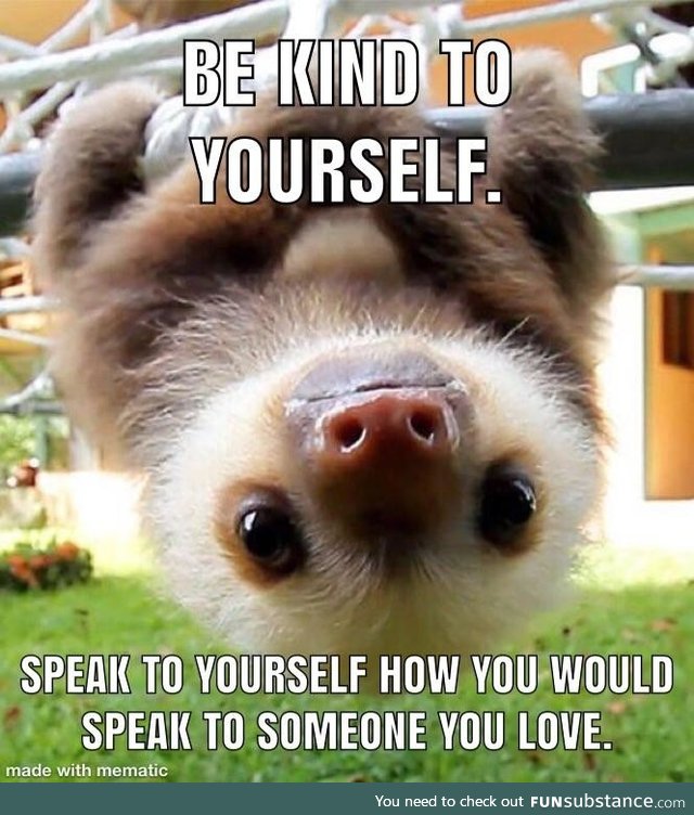 Wise words from a baby sloth