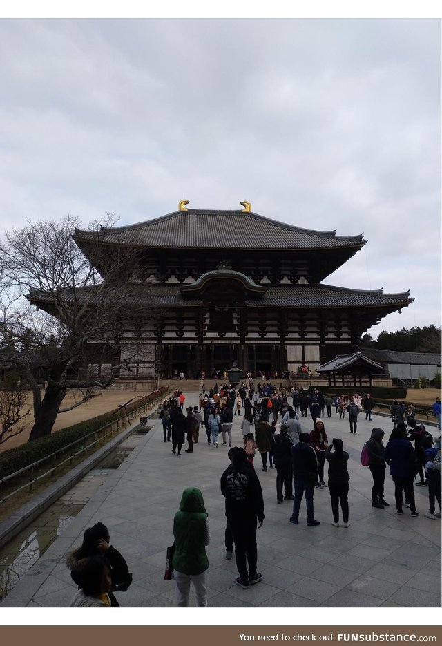 Day 3 of Japan: Nara