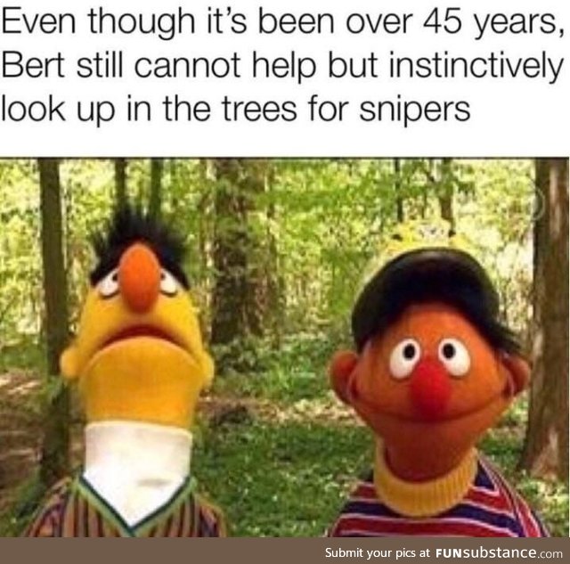 Bert