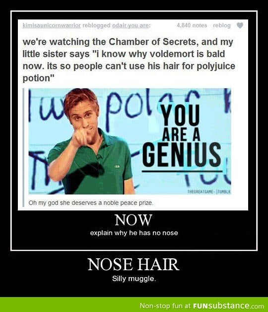 Silly muggle