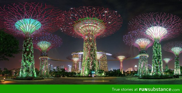 Gardens by the Bay, Singapore