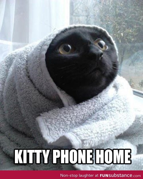 E. T. Cat