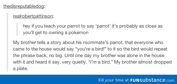 Parrots