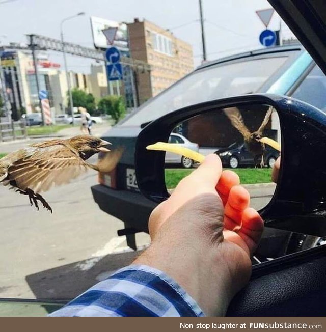 Same time Different wings position in the mirror