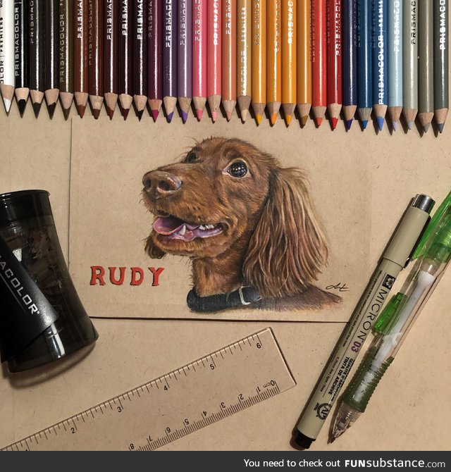 4 days + 30 colored pencils = 1 finished portrait of a very good boy