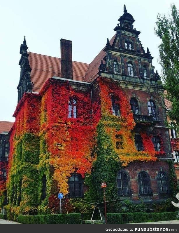 National Museum of Art Poland