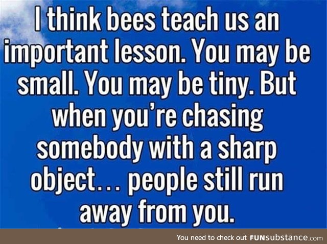 Bees