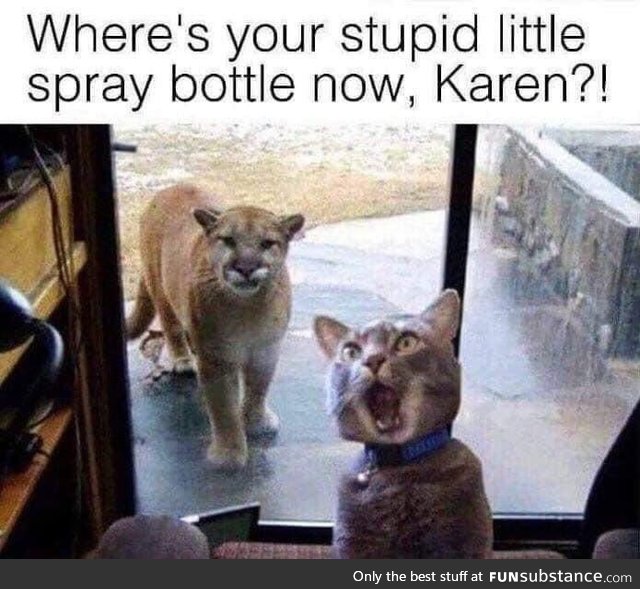 Damnit karen