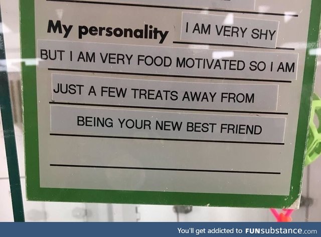 My personality also