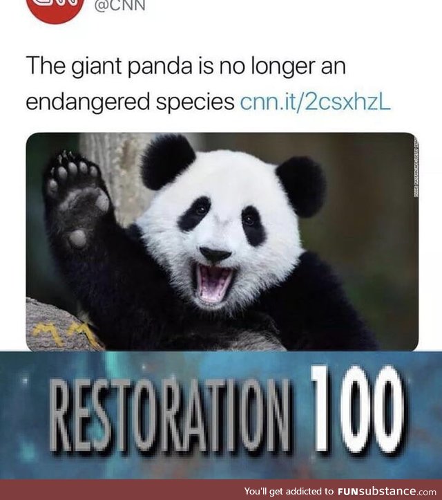 Pandtastic