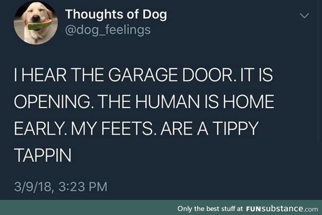 This account is so pure
