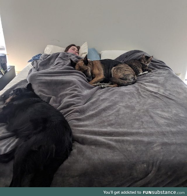 Girlfriend had surgery, luckily she has 3 nurses to help keep her comfy