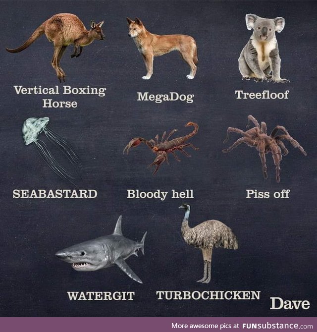 New names of Australian animals to celebrate Australia day