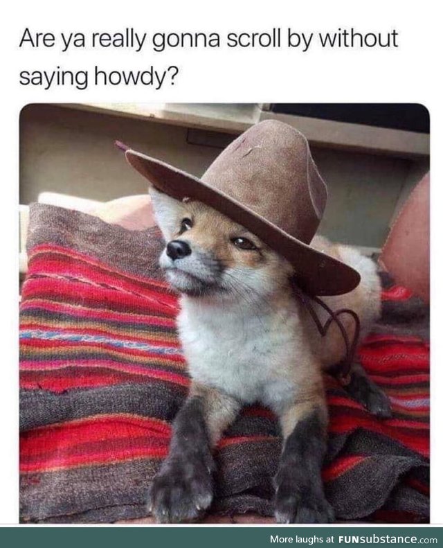 Howdy