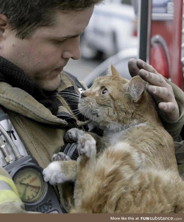 Cat with the Fireman that saved him