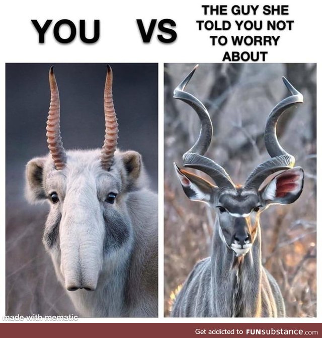 You VS The gazelle she tells you not to worry anout