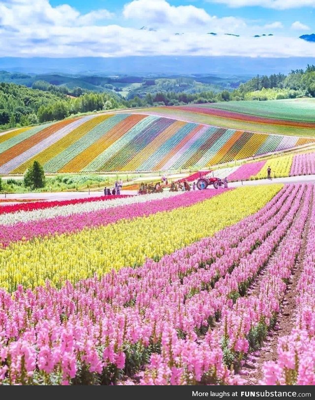 Hokkaido, japan