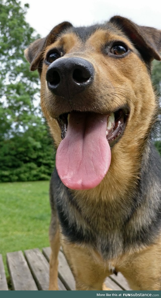 Another pic of our happy girl Yuki