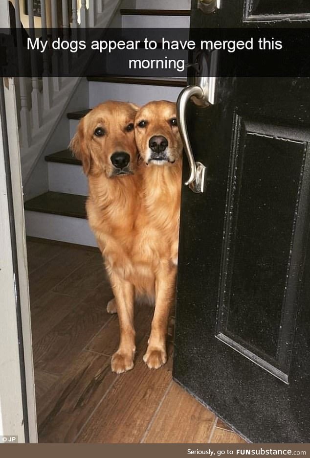 Speak, fren, and enter