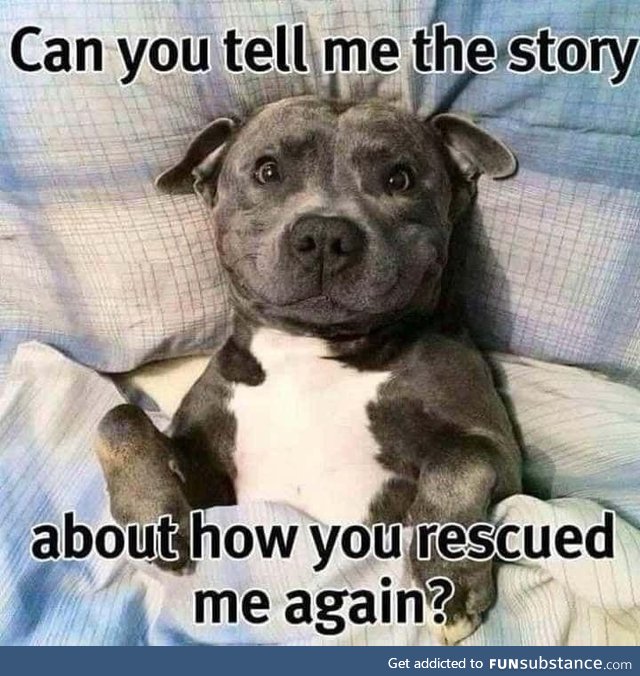 What's your rescue story? :)