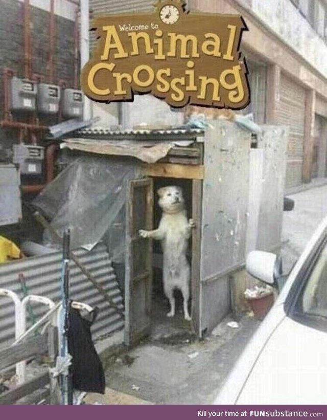 Animal crossing