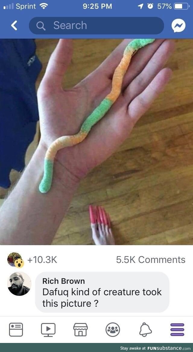 Captioned “the worlds longest gummy worm”