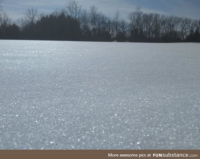 I took some pictures of the snow on my walk home from school.