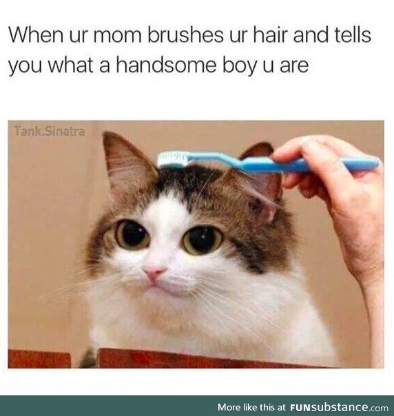 Brush hooman