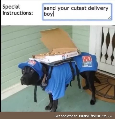 Domino's delivered