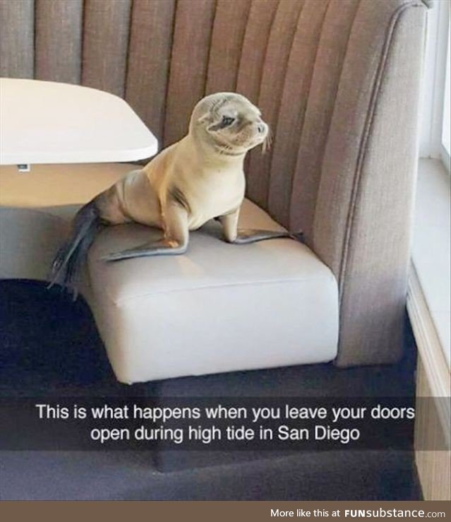 It’s San Diego ???