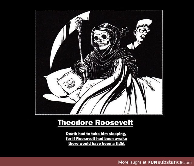 My favorite quote about the life and death of Theodore Roosevelt