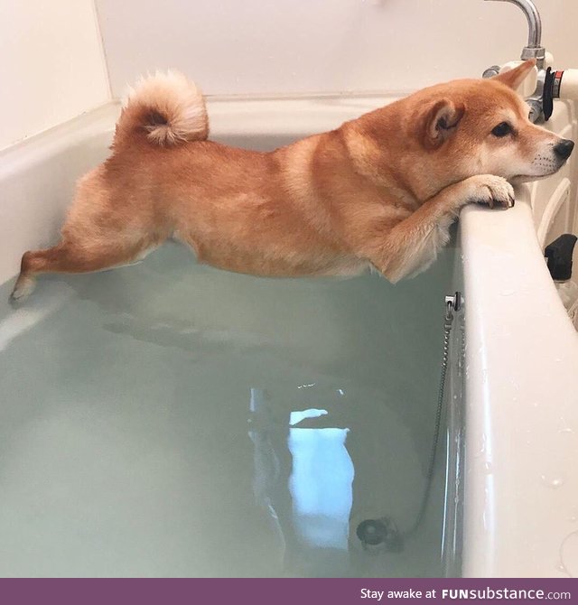 Non-wet doge