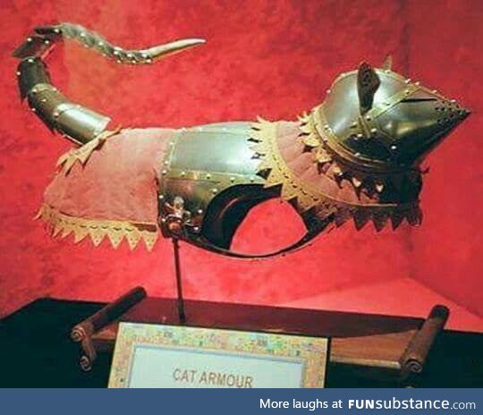 The suit of armour King Henry VIII had made for his cat Dagobert