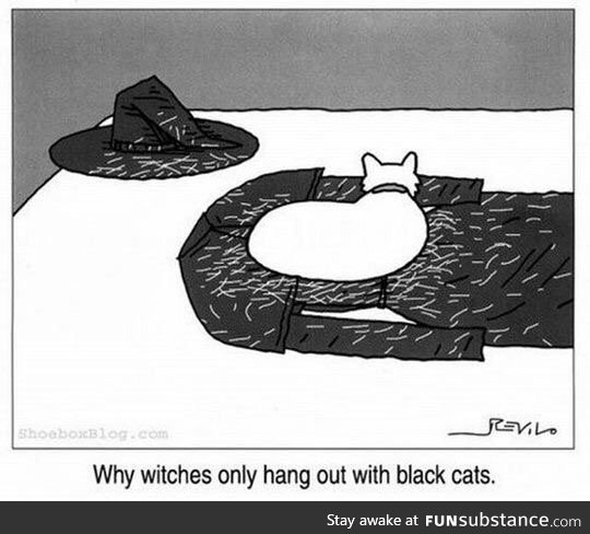 Black cat club