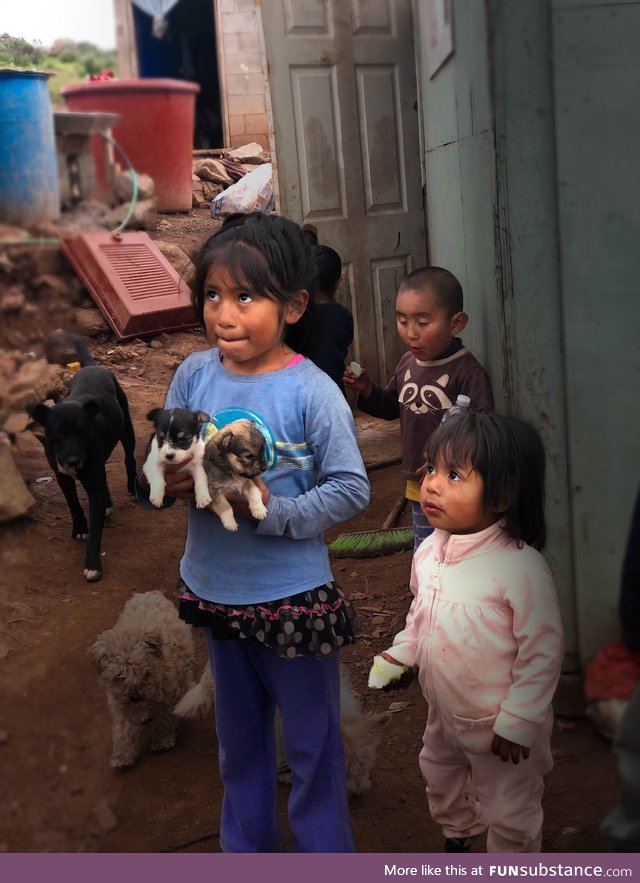 Little girl in Mexico showing our missions group her newborn puppies