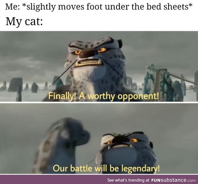 It's all fun and legendary battles until the claws pierce the sheet