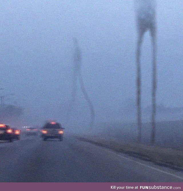 Dutch people going out for a walk