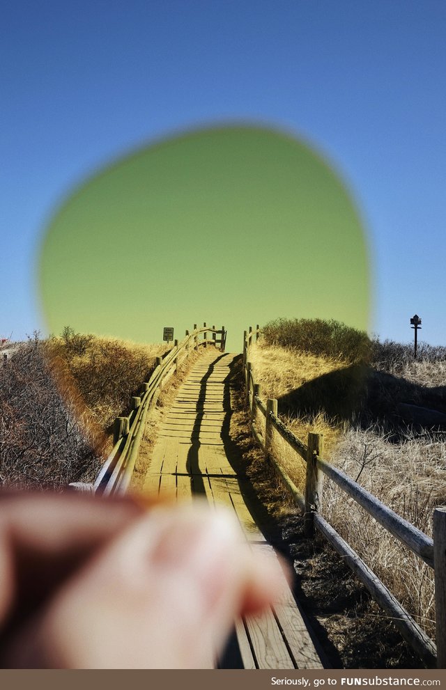 My sunglasses broke while at the beach. Thought this picture turned out cool though!