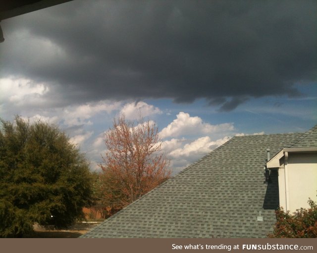 This is Spring in Texas from my balcony. Funny thing? Not a drop of rain.