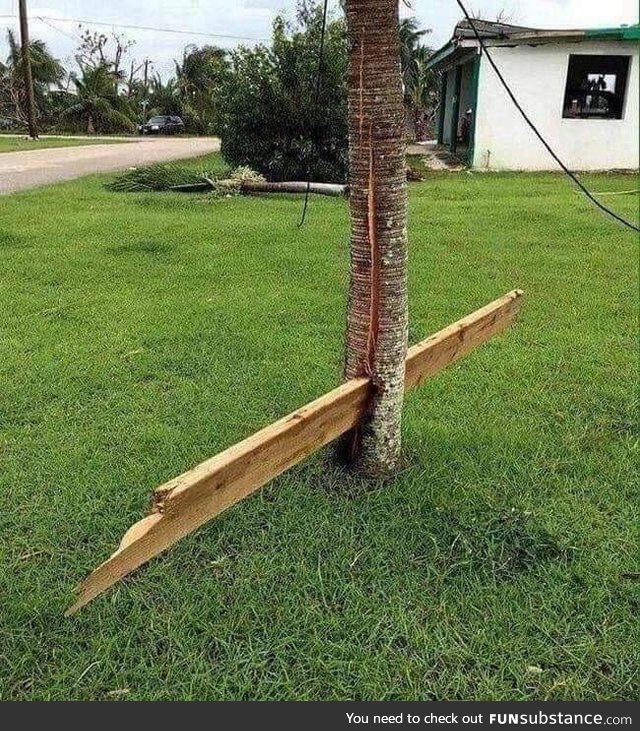 Ever wonder how powerful Hurricane winds are? (Hurricane Michael)