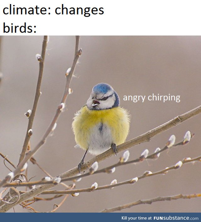 Chirp