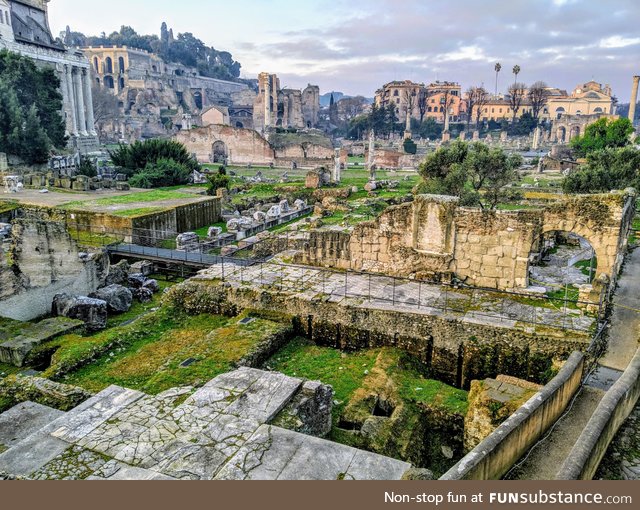 A pic I got of the the Roman Forum during an early morning run before all the tourists