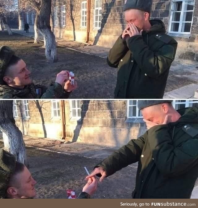 Wholesome, blyat